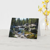 Fluss Tuolumne in Tuolumne Meadows, Yosemite, CA Karte (Gelbe Blume)
