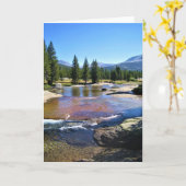 Fluss Tuolumne in Tuolumne Meadows, Yosemite, CA Karte (Gelbe Blume)
