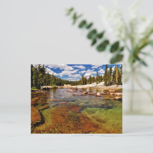 Fluss Tuolumne, Yosemite. Postkarte (Stehend Vorderseite)