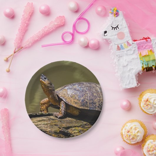 Fluss Turtle bei Tortuguero - Costa Rica Pappteller (Party)