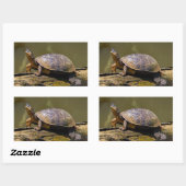 Fluss Turtle bei Tortuguero - Costa Rica Rechteckiger Aufkleber (Blatt)
