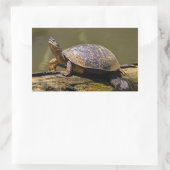 Fluss Turtle bei Tortuguero - Costa Rica Rechteckiger Aufkleber (Tasche)