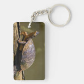 Fluss Turtle bei Tortuguero - Costa Rica Schlüsselanhänger (Rückseite)