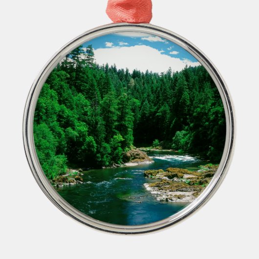 Fluss Umpqua Douglas County Oregon Silbernes Ornament (Vorne)