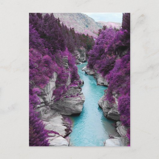 Fluss, violette Blumen und Felsen Postkarte (Vorderseite)