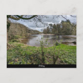 Fluss Wharfe Postkarte (Vorderseite)