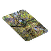 Fluss Wye 2008 Magnet (Rechte Seite)