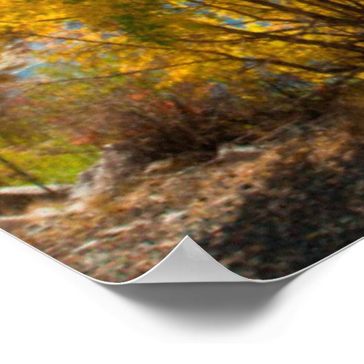 Fluss Yampa im Herbst Poster (Ecke)
