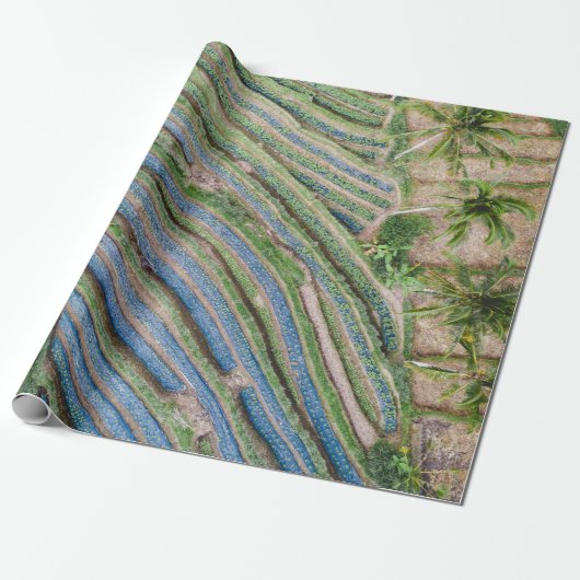 Fluss zwischen Kokospalmen Geschenkpapier (Ungerollt)