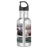 Flüsse des lebenden Wassers Inspiration Edelstahlflasche (Rückseite)