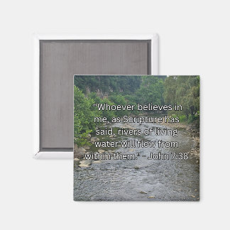 Flüsse des Lebens Magnet