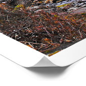 Flüsse leben Wasser Inspiration Bibel Zitat Poster (Ecke)