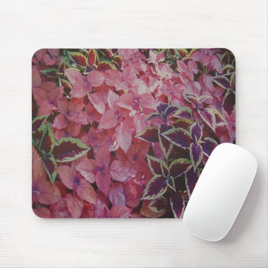 FLÜSSE MOUSEPAD (Mit Mouse)