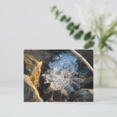 Flusseis Postkarte (Stehend Vorderseite)