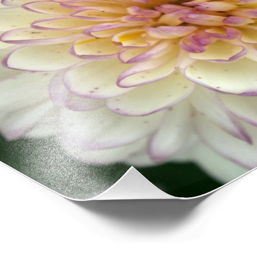 flüssig fotodruck (Ecke)