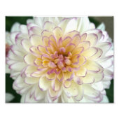 flüssig fotodruck (Vorne)