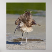 flüssig poster (Vorne)