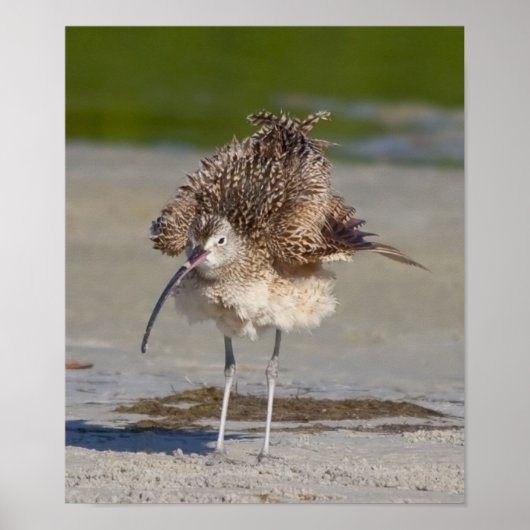 flüssig poster (Vorne)