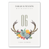 FLÜSSIGE ERFOLGREICHE ANTLER BOHEMISCHE ALLTISCH TISCHNUMMER (Vorderseite)