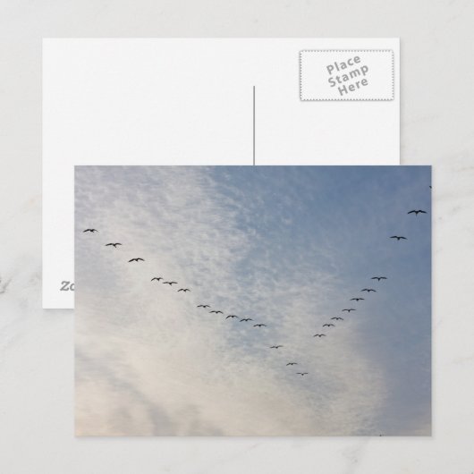 Flüssige Vögel nach Karte (Vorne/Hinten)