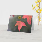 Flüssiger Bernsteinbaum - unbedruckte Grußkarte Karte (Gelbe Blume)