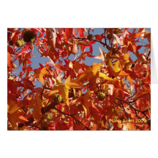 Flüssiges Bernstein-Blätter