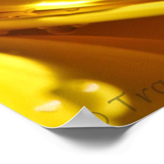 Flüssiges Gold Poster (Ecke)