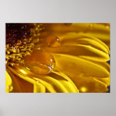 Flüssiges Gold Poster (Vorne)