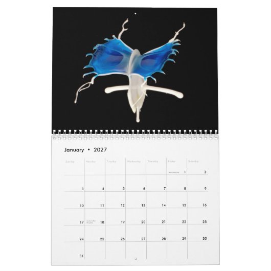 Flüssigkeit-in-Bewegung Kalender 2014 (Jan 2027)