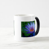 FLÜSSIGKEIT VERWANDLUNGSTASSE (VorderseiteRechts)