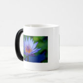 FLÜSSIGKEIT VERWANDLUNGSTASSE (Vorderseite Links)