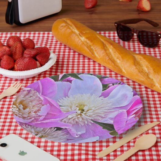 FLÜSSIGKEITSPAPIER TELLER (Picknick)
