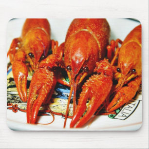 Flusskrebse Crawdads Krebstiere Mousepad