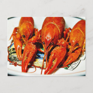 Flusskrebse Crawdads Krebstiere Postkarte