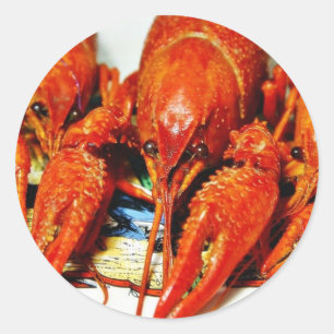 Flusskrebse Crawdads Krebstiere Runder Aufkleber