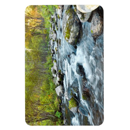 Flusskreuz Flexi Magnet (Vertikal)