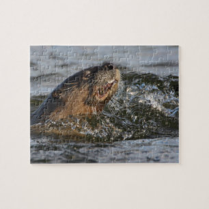 Flussotter Puzzle