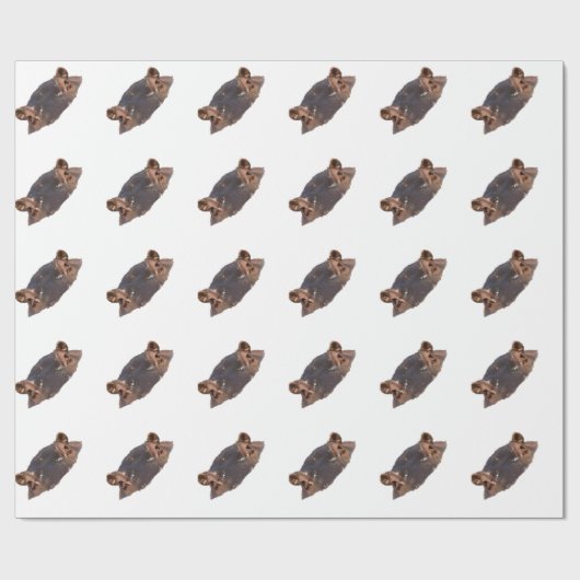 Flusspferd Geschenkpapier (Flach)