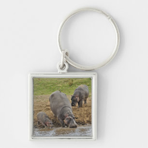 Flusspferd, Hippopotamus amphibius, Serengeti Schlüsselanhänger