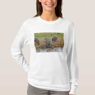 Flusspferd, Hippopotamus amphibius, Serengeti T-Shirt