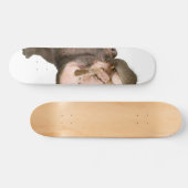 Flusspferd Skateboard (Horizontal)