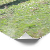 Flusspferde lieben Burger. Poster (Ecke)