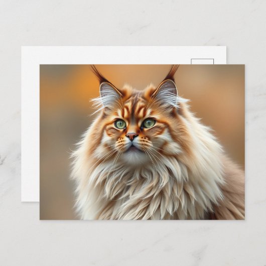 Flussportrait Postkarte (Vorne/Hinten)