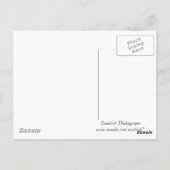 Flussteine, c) ländisch postkarte (Rückseite)