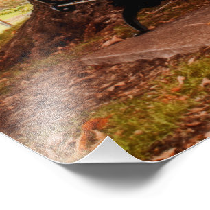 Flussufer-Park-Bänke Fotodruck