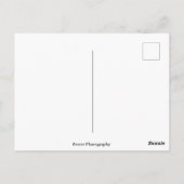 Flussufer von Kilbourn Straße in Milwaukee Postkarte (Rückseite)