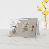 Flussuferläufer an der Küstenlinie Karte (Gelbe Blume)