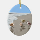 Flussuferläufer an der Küstenlinie Keramikornament (Rechts)