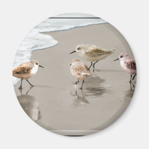 Flussuferläufer an der Küstenlinie Magnet