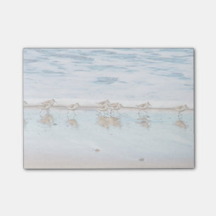 Flussuferläufer, die entlang den Strand laufen Post-it Klebezettel